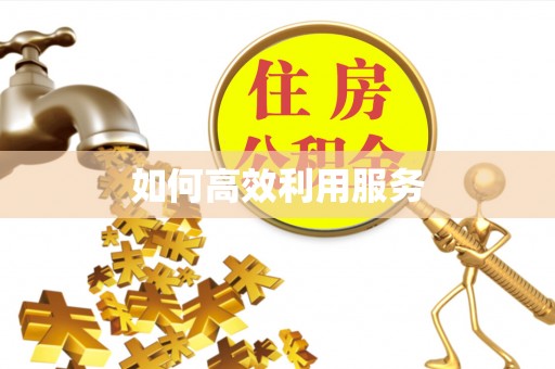 中寮如何高效利用服务