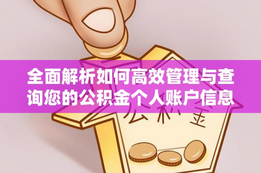 中寮全面解析如何高效管理与查询您的公积金个人账户信息
